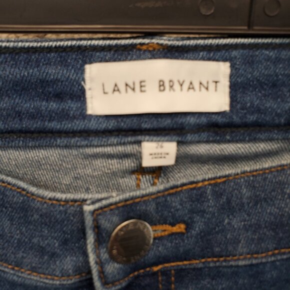 Lane Bryant Mid- Rise Skinny Jeans Size 24 Floral Embroidered Hem Signat… - Picture 7 of 10